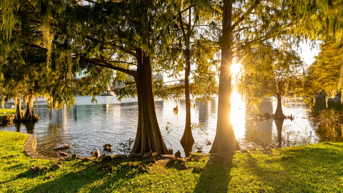 Scenic Lake Eola Park in downtown Orlando Florida